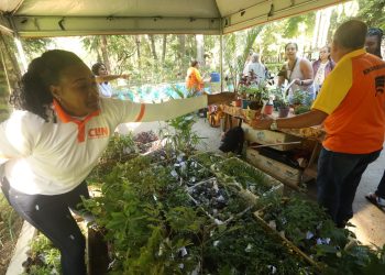 Niterói distribui 2.500 mudas de plantas nativas na encerramento da Semana do Meio Ambiente