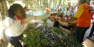 Niterói distribui 2.500 mudas de plantas nativas na encerramento da Semana do Meio Ambiente