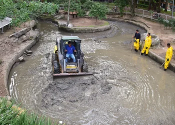 Manutenção dos lagos no Campo de São Bento em Niterói não afeta atividades do parque