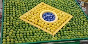 Supermercado em Niterói decora com limões inspirado na Copa do Mundo 2026