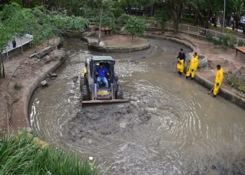 Prefeitura de Niterói realiza manutenção nos lagos do Campo de São Bento para preservar o ambiente
