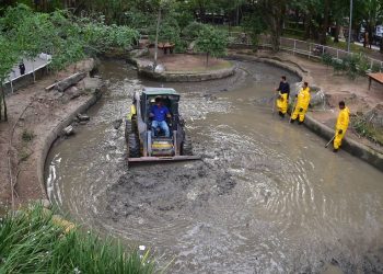 Seconser inicia limpeza dos lagos do Campo de São Bento, em Icaraí