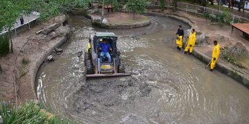 Seconser inicia limpeza dos lagos do Campo de São Bento, em Icaraí
