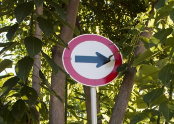 Acidente na BR-101 em Niterói deixa duas vítimas fatais na manhã deste domingo