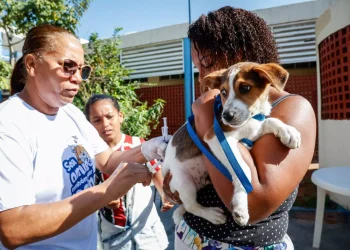 Campanha gratuita de vacinação antirrábica para cães e gatos ocorre em São Januário