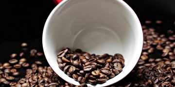 Rio de Janeiro aposta em cafés especiais para consolidar marca global e impulsionar desenvolvimento