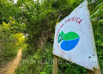 Trilha histórica de Darwin em Maricá é destaque em passeio guiado neste sábado