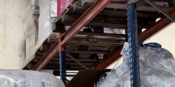 Supermercado em Paraty é interditado após apreensão de roedores e animais no estoque