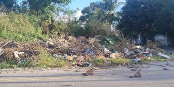 Moradores de São José do Imbassaí cobram solução por descarte irregular de animais mortos