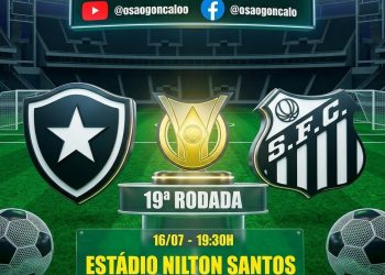 Botafogo enfrenta o Santos na retomada do Brasileirão no Nilton Santos