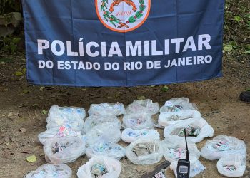 Polícia apreende arma e drogas em operação na Vila Ipiranga