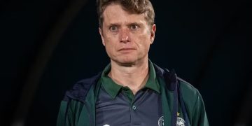 Vasco aproxima-se de contratar Fernando Seabra como novo técnico até 2027