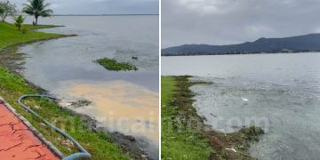 Equipe realiza limpeza na Lagoa de Araçatiba após aumento do mau cheiro e aplicação de bioinsumos