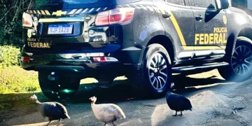 Polícia Federal combate tráfico ilegal de animais silvestres em Niterói