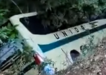 Ônibus cai em ribanceira na BR-040 em Petrópolis; motorista sofre escoriações leves
