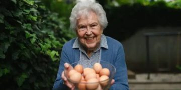 Estudo relaciona consumo frequente de ovos à redução de risco de Alzheimer
