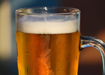 Festival Beer Day em São Gonçalo promove cultura artesanal e atrações musicais gratuitas