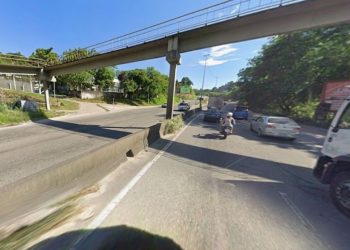 Cavalo é atropelado na RJ-104 em São Gonçalo e causa retenções no trânsito