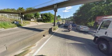 Cavalo é atropelado na RJ-104 em São Gonçalo e causa retenções no trânsito