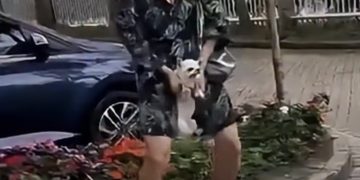 Vídeo de maus-tratos a cão no Recreio gera reação e é acompanhado por deputado federal