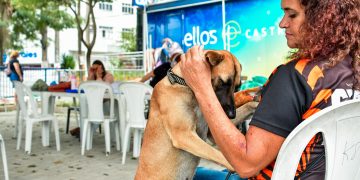 Prefeitura de Itaboraí ampliacastração gratuita de cães e gatos até 21 de agosto