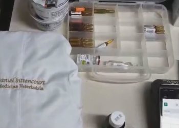 Polícia civil prende falso veterinário que operava animal sem licença em Duque de Caxias