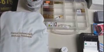 Polícia civil prende falso veterinário que operava animal sem licença em Duque de Caxias