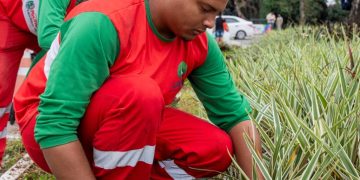 Mutirão de limpeza e manutenção urbana melhora espaços públicos em Maricá