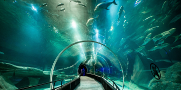 AquaRio promove atividade educativa sobre combate à poluição industrial em agosto