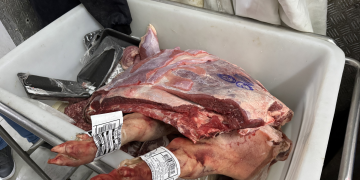 Fiscalização apreende 957 kg de alimentos impróprios em supermercado de Duque de Caxias