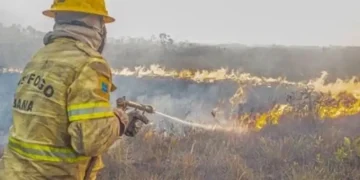 Amazonas: Governo investiga organização criminosa por trás de incêndios e reforça combate no estado