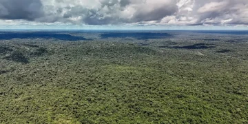 Amazônia registra menor desmatamento em 41 anos, mas mantém grande perda de vegetação