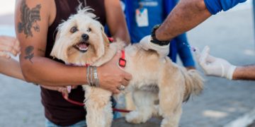 Itaboraí promove vacinação antirrábica de cães e gatos em Novo Horizonte nesta sexta-feira