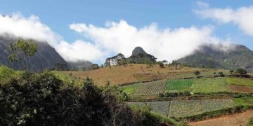 Semana da Alimentação Carioca destaca agricultura familiar de Teresópolis e liderança feminina