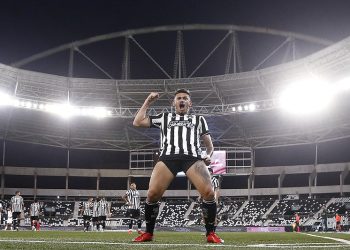 Botafogo conquista vitória importante com gol de Tiquinho Soares na luta contra o Z4