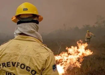 Mais de 300 focos de incêndio na Amazônia são combatidos por equipes e veículos especializados