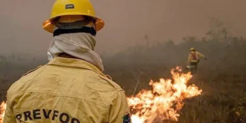 Mais de 300 focos de incêndio na Amazônia são combatidos por equipes e veículos especializados