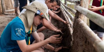 Escoteiros constroem ocas na aldeia indígena de Maricá em atividade de troca cultural