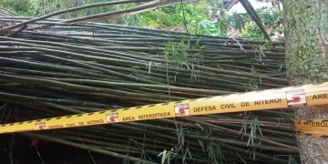 Família em Niterói teve residência interditada após queda de bambuzal durante chuvas