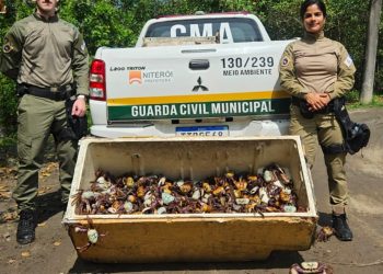 Guarda Ambiental de Niterói resgata e devolve 450 caranguejos-uçá ao manguezal durante período de proteção