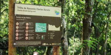 Trilha no Caminho de Darwin em Niterói incentiva preservação ambiental e história local