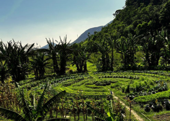 Maricá reforça políticas públicas de segurança alimentar e incentivo à agricultura sustentável