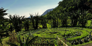 Maricá reforça políticas públicas de segurança alimentar e incentivo à agricultura sustentável