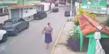Mulher abandona gato em clínica veterinária de Maricá; animal morre após atendimento