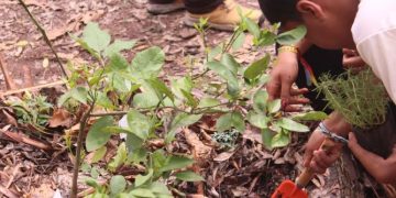 Arena Dicró promove oficinas de agroecologia e cultura na Penha