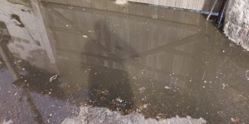 Moradores de São José do Imbassaí enfrentam transbordamento de esgoto na Lagoa das Amendoeiras