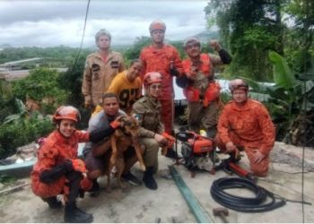 Resgate do cachorro Romário após desabamento no Caramujo, em Niterói