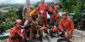 Resgate do cachorro Romário após desabamento no Caramujo, em Niterói