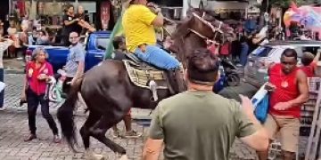 Homem a cavalo ataca militantes do PT durante ato de campanha em Nova Iguaçu